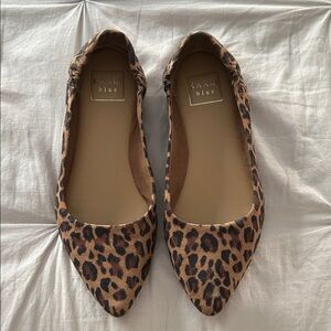 Kaari Blue Leopard-Print Pointed Ballet Flats - Brown/Black